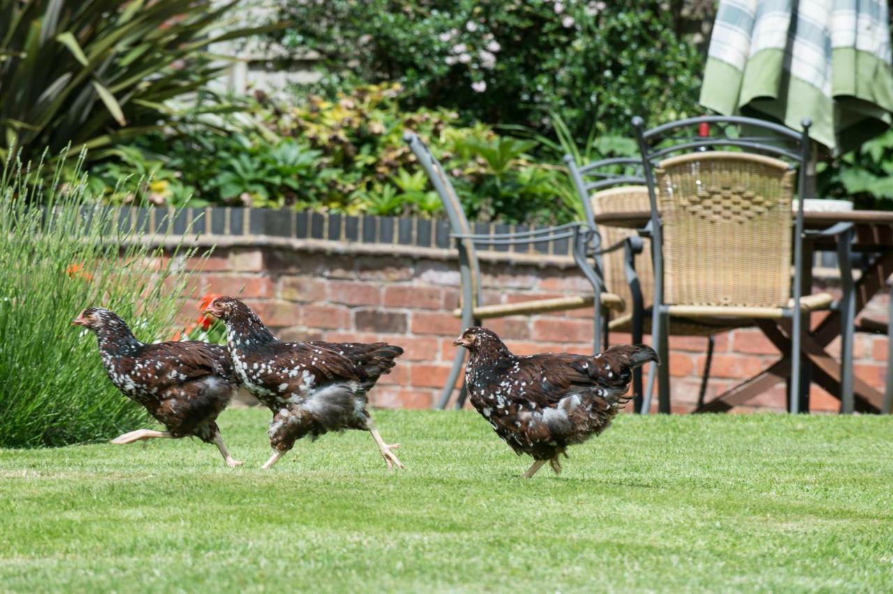 Moreton Hall Farm Bed & Breakfast Newport  Exterior photo