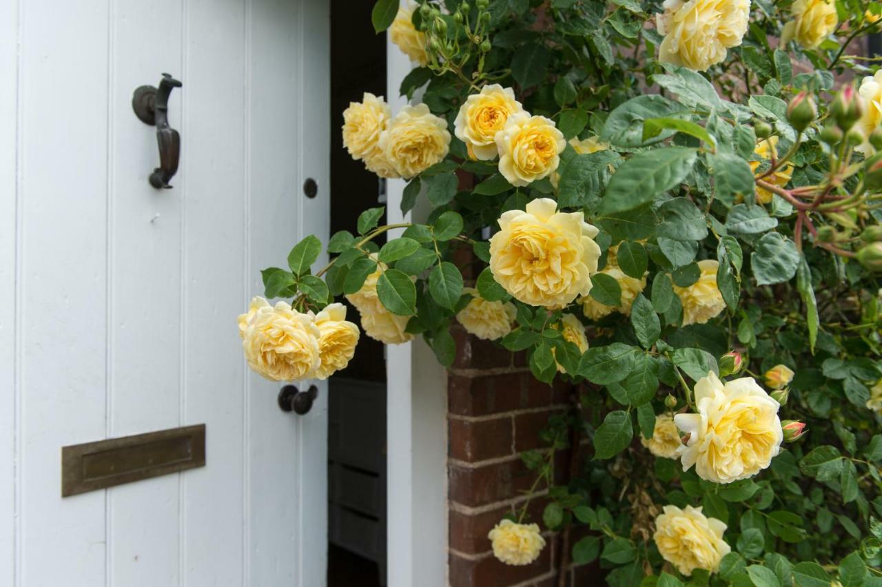 Moreton Hall Farm Bed & Breakfast Newport  Exterior photo